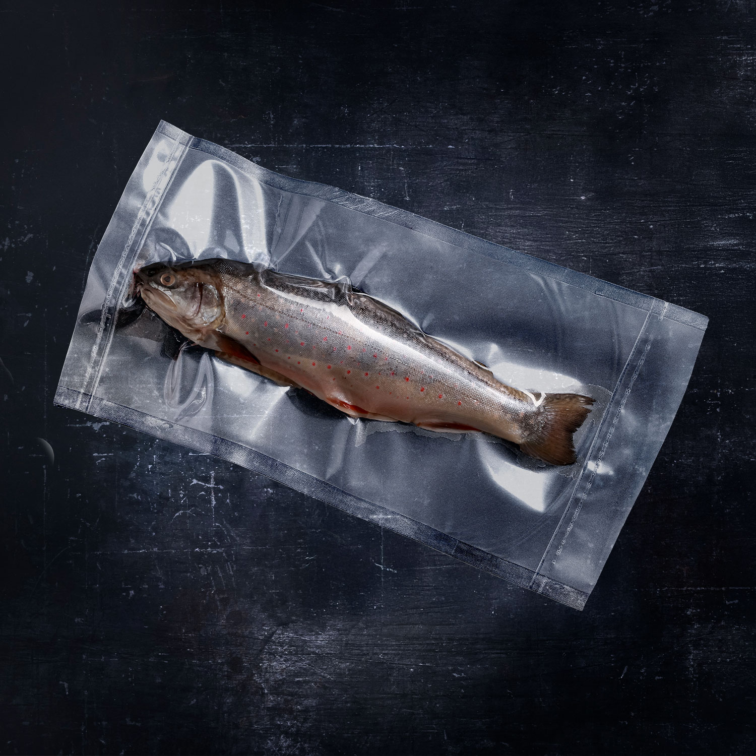 E-Vac Vakuumrolle mit vakuumverpacktem Fisch